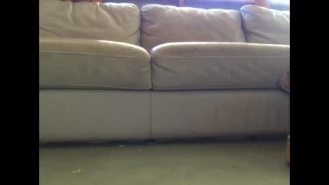 Snapshot of mookaite05 chatting on 03/03/25, 02:26 mookaite05 online show from 03/03/25, 02:26