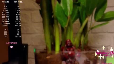 Luna  online show from 02/14/25, 04:20