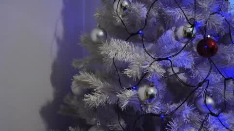 Snapshot of moona_one chatting on 12/08/24, 06:54 Mona online show from 12/08/24, 06:54