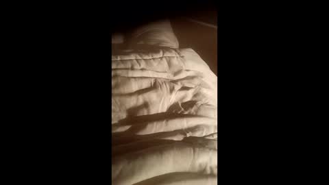 moos1 online show from 10/15/25, 07:03