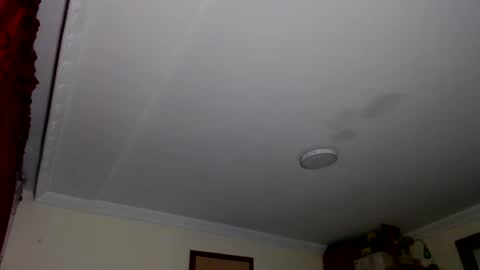 Abelardo online show from 10/18/25, 05:43