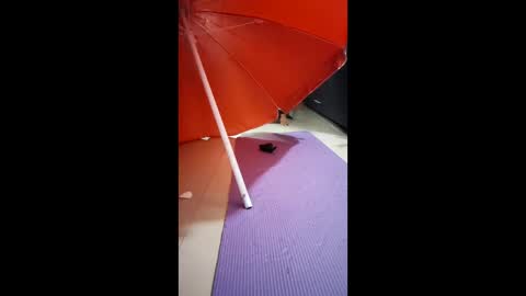 morbucksrica online show from 02/15/26, 03:25