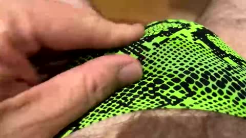 Snapshot of moreletii chatting on 10/21/25, 08:59 Me online show from 10/21/25, 08:59