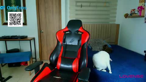 Snapshot of morthy_downey chatting on 03/01/25, 05:05 Morthy online show from 03/01/25, 05:05