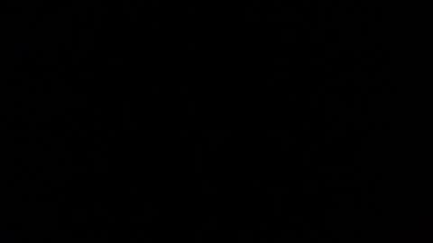 Nomadu online show from 03/01/25, 05:49