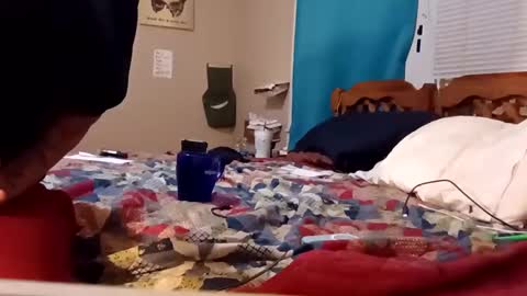 Snapshot of mottsmuff chatting on 02/04/25, 08:24 B online show from 02/04/25, 08:24