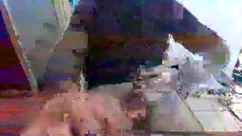 mppempis81 online show from 11/15/25, 07:27