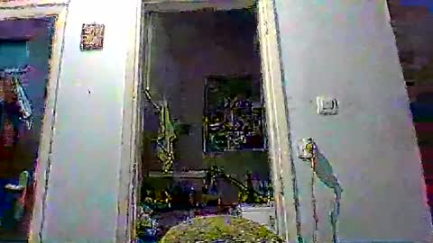 mppempis81 online show from 01/08/26, 03:58