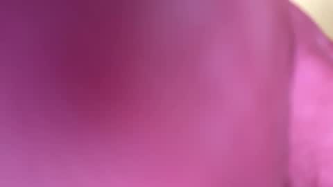 mr6ray online show from 01/08/25, 03:40