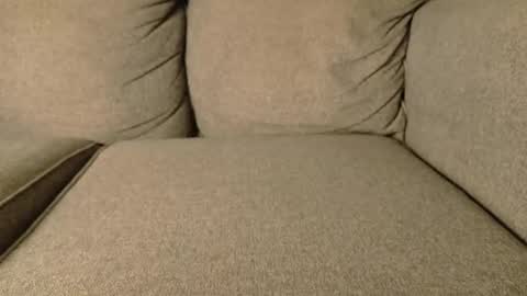 mr6ray online show from 01/19/26, 02:26