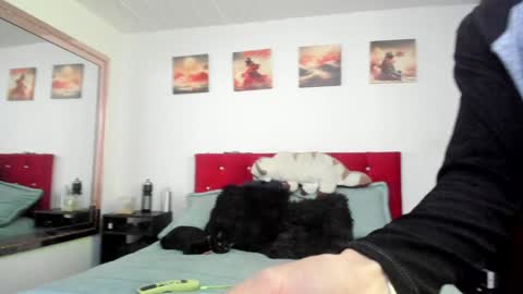 Snapshot of mr_andresr chatting on 12/23/24, 04:50 Andy online show from 12/23/24, 04:50