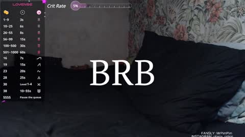 Snapshot of mr_pim_2_0 chatting on 12/29/24, 02:52 Nikita ------------- online show from 12/29/24, 02:52