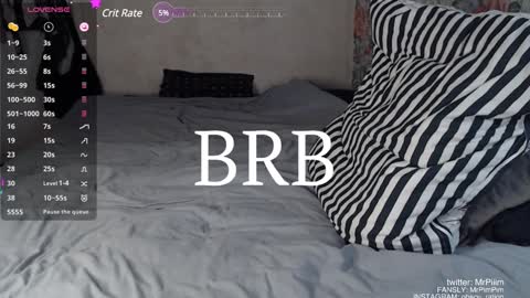 Snapshot of mr_pim_2_0 chatting on 01/29/25, 04:08 Nikita ------------- online show from 01/29/25, 04:08