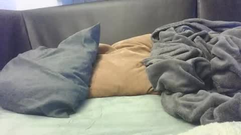 Snapshot of mranal93 chatting on 10/08/25, 07:00 mranal93 online show from 10/08/25, 07:00