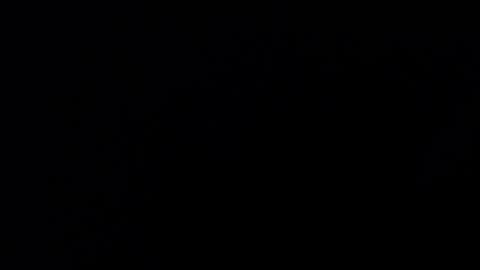 Snapshot of mrbillxxx chatting on 04/14/26, 12:22 mrbillxxx online show from 04/14/26, 12:22