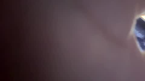 Snapshot of mrbone4790 chatting on 01/12/25, 07:31 mrbone4790 online show from 01/12/25, 07:31