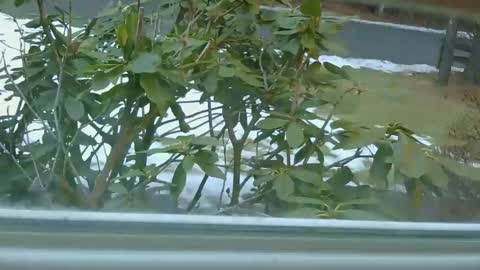 mrbrigggs online show from 01/14/26, 12:11