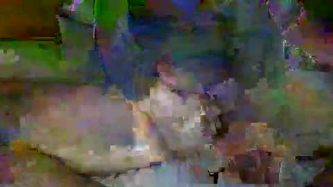 Snapshot of mre11118957 chatting on 04/06/26, 02:09 Mr-E online show from 04/06/26, 02:09