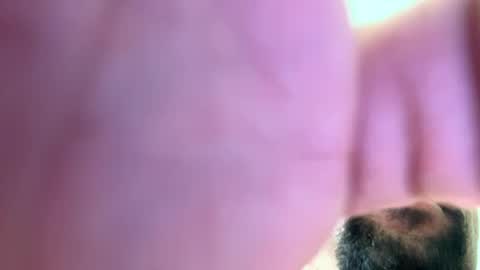 mrfrankfuckforfree online show from 12/02/24, 02:52