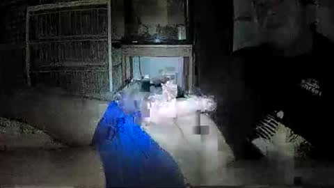 mrgray11xxx aussie online show from 12/08/24, 05:01