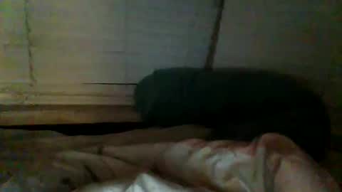 mrgray11xxx aussie online show from 12/20/24, 02:38