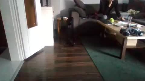 Nikola online show from 02/17/25, 11:02