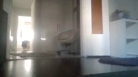 Snapshot of mrhandsomelovee chatting on 03/11/26, 08:20 Nikola online show from 03/11/26, 08:20