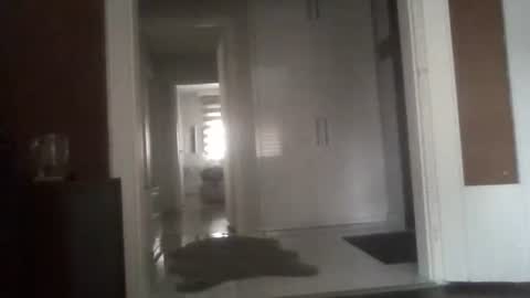 Snapshot of mrhandsomelovee chatting on 03/13/26, 06:42 Nikola online show from 03/13/26, 06:42