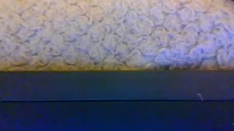 mrking8inch online show from 06/26/26, 11:09