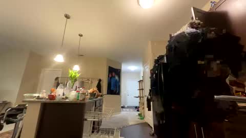 Longbi1 online show from 09/18/25, 11:29