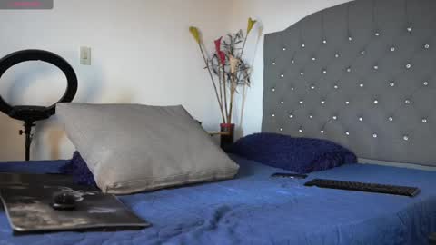 Snapshot of mrlouiss chatting on 02/17/25, 04:15 Luis Instagram online show from 02/17/25, 04:15