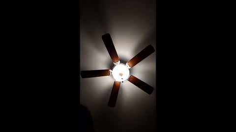 mrorange50187 online show from 12/18/24, 12:32