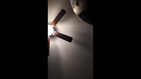 mrorange50187 online show from 12/22/24, 01:11