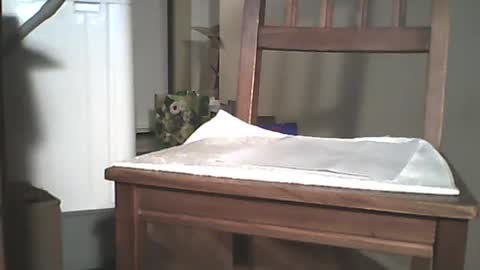 Longshot online show from 12/29/24, 03:44