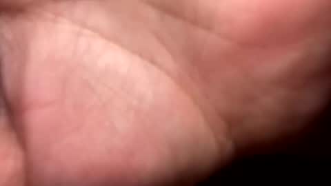 shawn online show from 12/16/25, 09:20