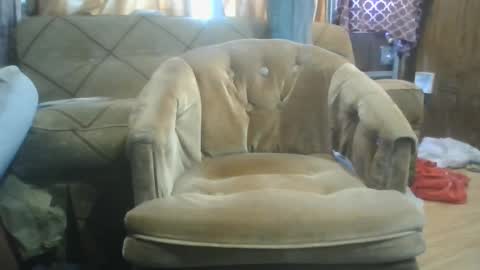 Snapshot of mrstergreen9 chatting on 10/05/25, 08:29 mrstergreen9 online show from 10/05/25, 08:29