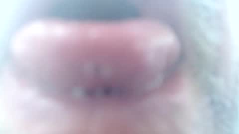 Snapshot of mrtease5 chatting on 02/02/26, 11:31 mrtease5 online show from 02/02/26, 11:31