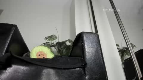 Goddess. Miss. Lady.  Queen. Madam Milady online show from 02/28/26, 01:45