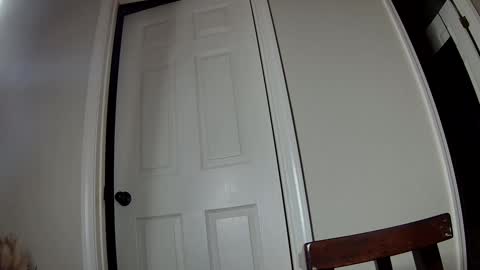 missqueenbbw online show from 12/02/24, 03:37