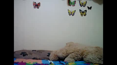 Snapshot of ms_teery chatting on 12/08/24, 12:30 ms_teery online show from 12/08/24, 12:30