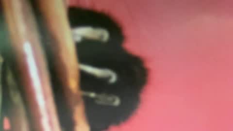 Snapshot of msduss351 chatting on 02/02/25, 01:08 msduss351 online show from 02/02/25, 01:08