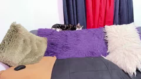 Miss Justine online show from 10/31/25, 01:17