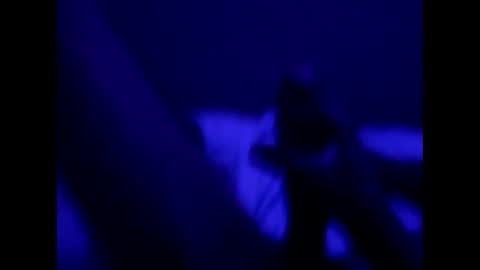 mt220 online show from 12/16/24, 09:57