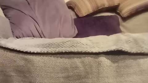 Snapshot of mtx9889 chatting on 10/27/25, 10:47 mtx9889 online show from 10/27/25, 10:47