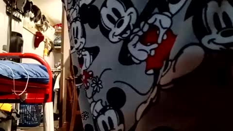 muddflapz online show from 10/06/25, 10:56