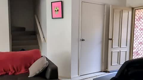 mudjimba online show from 12/16/24, 10:56