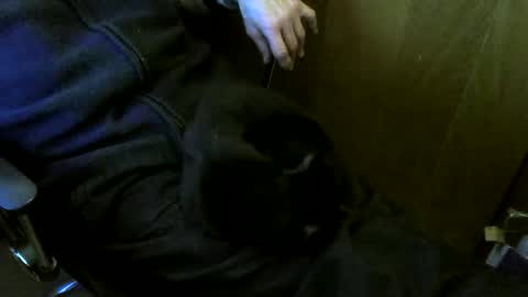 muller520 online show from 03/02/26, 03:52