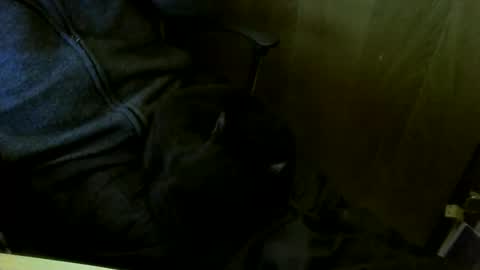 muller520 online show from 03/18/26, 05:16