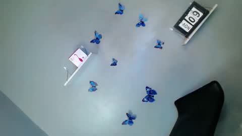 jasmine online show from 11/09/25, 01:20