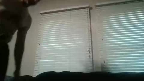 Snapshot of my_little_vienna_sausage chatting on 11/16/25, 10:26 vienna online show from 11/16/25, 10:26